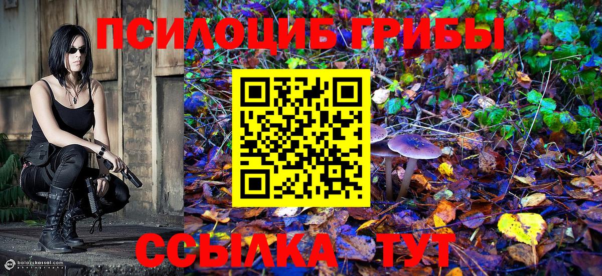 Псилоцибиновые грибы GOLDEN TEACHER Красноперекопск